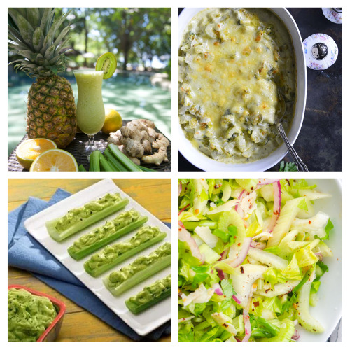 24 Crazy Delicious Ways to Use Celery- Want to eat something healthy, budget-friendly, and delicious? Then you need to check out these crazy good celery recipes! | #recipe #celery #healthyEating #healthyRecipes #ACultivatedNest