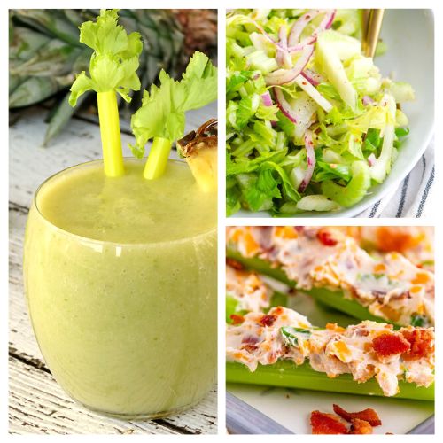 24 Crazy Good Celery Recipes- Want to eat something healthy, budget-friendly, and delicious? Then you need to check out these crazy good celery recipes! | #recipe #celery #healthyEating #healthyRecipes #ACultivatedNest