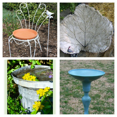 24 Beautiful Homemade Bird Bath Projects- Want an enjoyable way to spruce up your backyard and give your feathered friends a treat? Then consider making a beautiful DIY bird bath! | #birdBath #DIY #diyProject #gardenDIY #ACultivatedNest