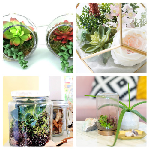 24 Pretty DIY Terrarium Ideas- Are you looking for a fun, creative way to spruce up your living space? If so, consider crafting your own pretty DIY terrarium! | homemade succulent planter, succulent terrarium, #craft #terrarium #DIY #diyDecor #ACultivatedNest