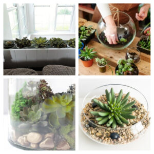 24 Pretty DIY Terrarium Ideas- A Cultivated Nest
