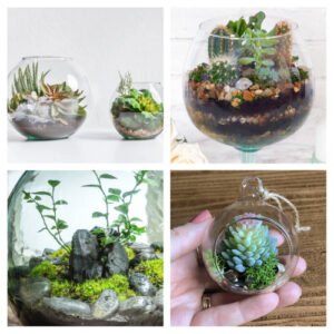 24 Pretty DIY Terrarium Ideas- A Cultivated Nest