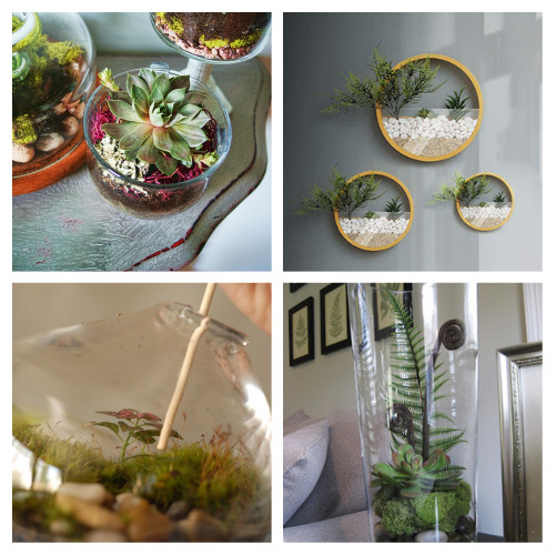 24 Pretty Homemade Terrarium Ideas- Are you looking for a fun, creative way to spruce up your living space? If so, consider crafting your own pretty DIY terrarium! | homemade succulent planter, succulent terrarium, #craft #terrarium #DIY #diyDecor #ACultivatedNest