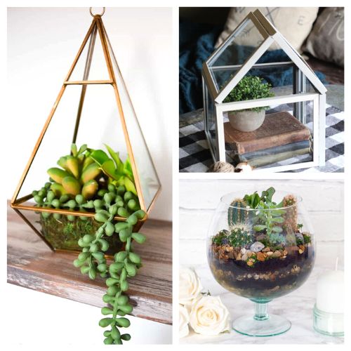 24 Pretty DIY Terrarium Ideas- Are you looking for a fun, creative way to spruce up your living space? If so, consider crafting your own pretty DIY terrarium! | homemade succulent planter, succulent terrarium, #craft #terrarium #DIY #diyDecor #ACultivatedNest