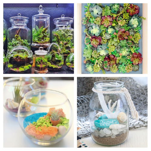 24 Pretty Homemade Terrarium Ideas- Are you looking for a fun, creative way to spruce up your living space? If so, consider crafting your own pretty DIY terrarium! | homemade succulent planter, succulent terrarium, #craft #terrarium #DIY #diyDecor #ACultivatedNest