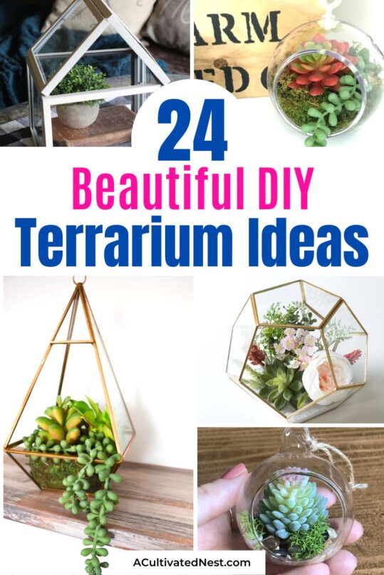 24 Pretty DIY Terrarium Ideas- A Cultivated Nest