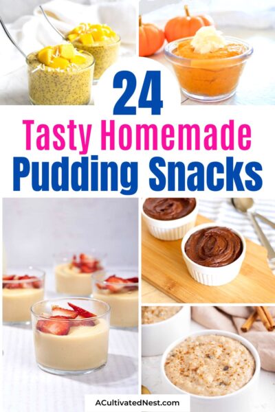 24 Tasty Homemade Pudding Snacks- A Cultivated Nest