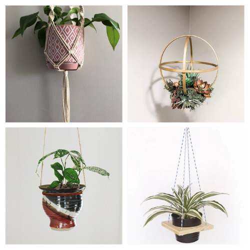 16 Pretty DIY Plant Hangers- Discover stunning DIY plant hanger projects that blend style and functionality, perfect for indoor and outdoor spaces. From simple macramé designs to innovative upcycled treasures, elevate your home's greenery in a snap! | #DIYPlantHangers #HomeDecor #diyProjects #indoorGardening #ACultivatedNest