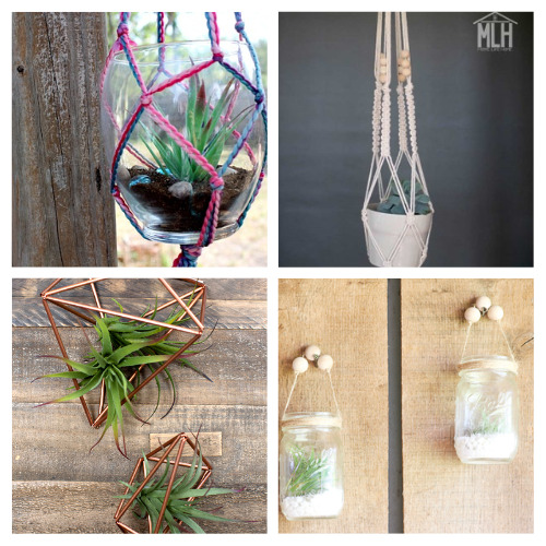 16 Pretty DIY Pot Hangers- Discover stunning DIY plant hanger projects that blend style and functionality, perfect for indoor and outdoor spaces. From simple macramé designs to innovative upcycled treasures, elevate your home's greenery in a snap! | #DIYPlantHangers #HomeDecor #diyProjects #indoorGardening #ACultivatedNest