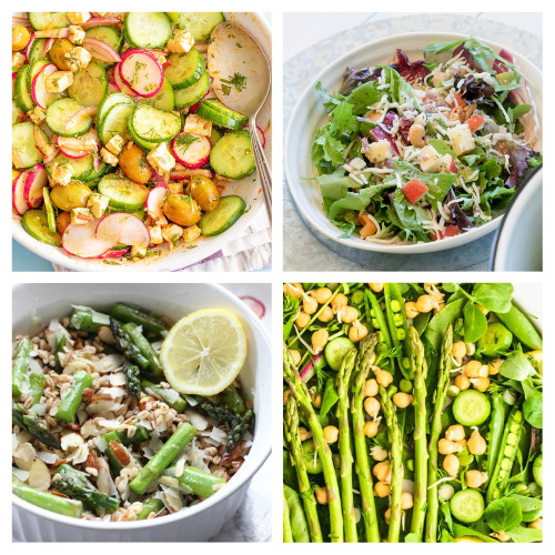  24 recettes de salades printanières faciles - Entrez dans la saison des salades avec ces recettes faciles et délicieuses !  Des légumes verts frais aux légumes vibrants, ces salades sont parfaites pour un déjeuner ou un dîner léger.  |  #springRecipes #saladRecipes #recipes #healthyEating #ACultivatedNest