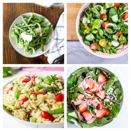  24 recettes de salades faciles pour le printemps et le printemps dans la saison des salades avec ces recettes faciles et délicieuses !  Des légumes verts frais aux légumes vibrants, ces salades sont parfaites pour un déjeuner ou un dîner léger.  |  #springRecipes #saladRecipes #recipes #healthyEating #ACultivatedNest