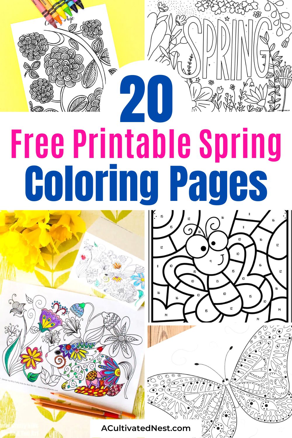 20 Free Printable Spring Coloring Pages- Spring has sprung! Keep your kids and yourself entertained with these free printable spring coloring pages. From blooming flowers to chirping birds, these pages are full of springtime fun! | #freePrintables #coloringPages #coloringPrintables #adultColoring #ACultivatedNest