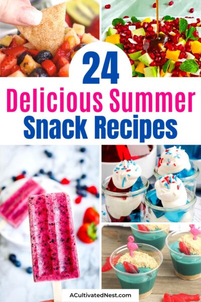 24 Delicious Summer Snack Recipes to Make- A Cultivated Nest