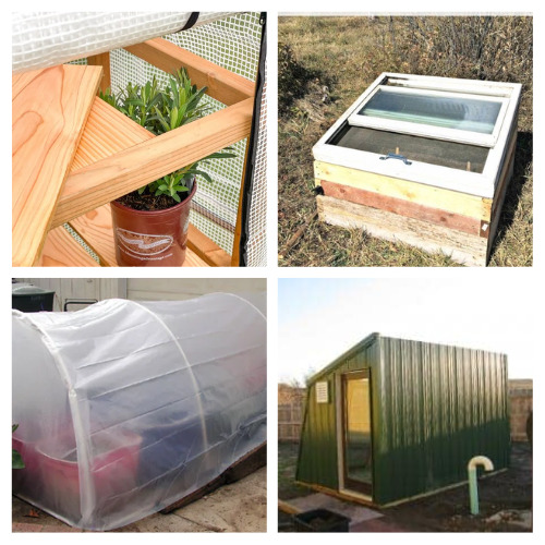 24 Easy DIY Greenhouse Ideas- Ready to take your gardening skills to the next level? Dive into these easy DIY greenhouse ideas and create your own plant paradise! These are perfect for locations with harsh weather! | #DIY #gardenDIY #greenhouse #gardening #ACultivatedNest