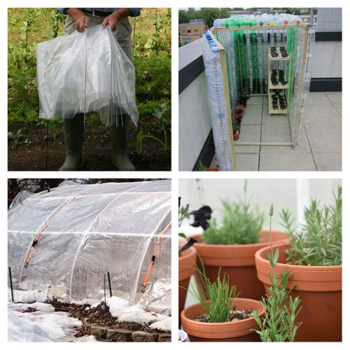 24 Easy Homemade Greenhouse Ideas- Ready to take your gardening skills to the next level? Dive into these easy DIY greenhouse ideas and create your own plant paradise! These are perfect for locations with harsh weather! | #DIY #gardenDIY #greenhouse #gardening #ACultivatedNest