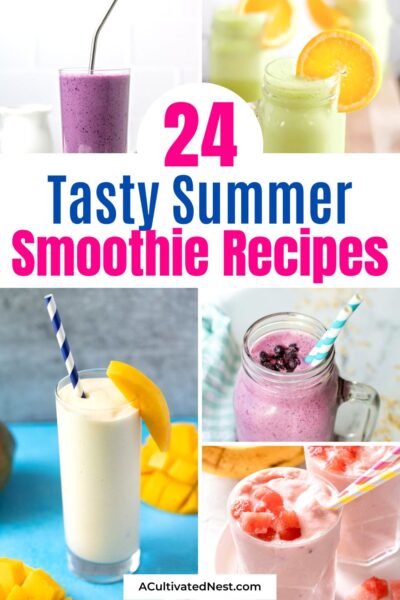 24 Easy Summer Smoothie Recipes To Try  A Cultivated Nest