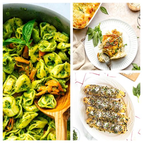 16 Delicious Ways to Use Pesto- There are so many delicious ways to use pesto in a variety of dishes, such as entrees, appetizers, casseroles, and flatbreads! | #recipes #pesto #dinnerRecipes #pastaRecipes #ACultivatedNest