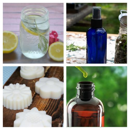12 Homemade Insect Repellents- Say goodbye to pesky insects with these amazing DIY natural insect repellents! Whether you're camping, gardening, or simply enjoying your backyard, these recipes will keep those bugs at bay. #DIYInsectRepellent #NaturalBugSpray #OutdoorLivingIdeas #DIY #ACultivatedNest