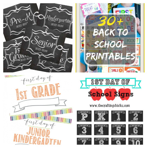 16 Free Back-to-School Sign and Banner Printables- Check out these free back-to-school printable signs + banners in a variety of colors and sizes, and create fun 1st day of school photos for your family! | #backToSchool #freePrintables #printables #schoolSigns #ACultivatedNest
