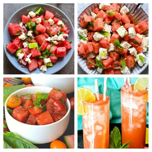 24 Refreshing Summer Recipes Using Watermelon- From refreshing coolers to savory treats, discover the magic of watermelon in every bite with these delicious watermelon recipes for summer! | #recipes #summerRecipes #watermelon #summerFood #ACultivatedNest