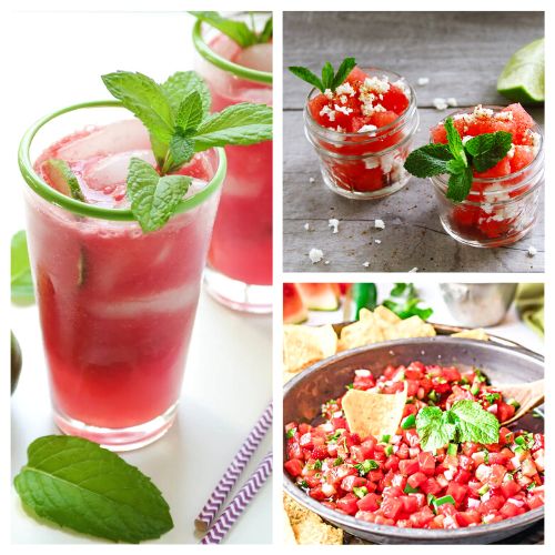 24 Refreshing Watermelon Recipes for Summer- From refreshing coolers to savory treats, discover the magic of watermelon in every bite with these delicious watermelon recipes for summer! | #recipes #summerRecipes #watermelon #summerFood #ACultivatedNest