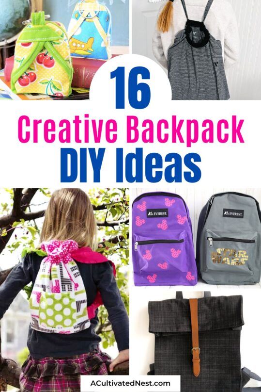 16 Cute DIY Lunchbox Projects- A Cultivated Nest