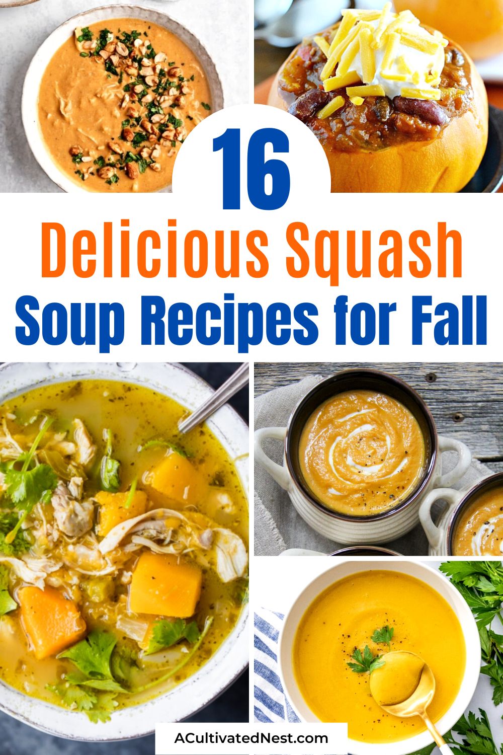 16 Delicious Fall Squash Soup Recipes- Soup season is here, and we've gathered some scrumptious fall squash soup recipes to delight your taste buds. Whether you prefer velvety textures or bold flavors, you'll find a soup that warms your soul in this collection. Embrace the autumn vibes! | #FallCooking #SquashRecipes #SoupLovers #fallRecipes #ACultivatedNest