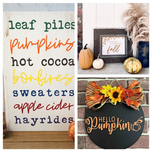 20 Gorgeous DIY Fall Signs- Bring the warmth and beauty of fall into your home with these gorgeous DIY fall signs! From rustic wood to elegant chalkboard designs, these creative autumn-inspired signs will add a cozy touch to your décor! | #DIYFallDecor #AutumnSigns #FallCrafts #DIY #ACultivatedNest