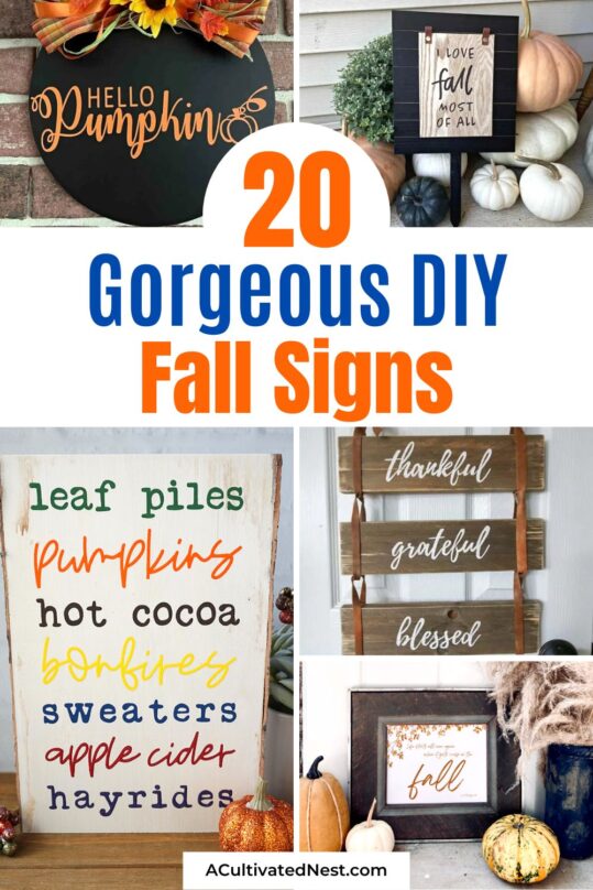 20 Gorgeous DIY Fall Signs A Cultivated Nest   Gorgeous Diy Fall Signs V1 539x808 