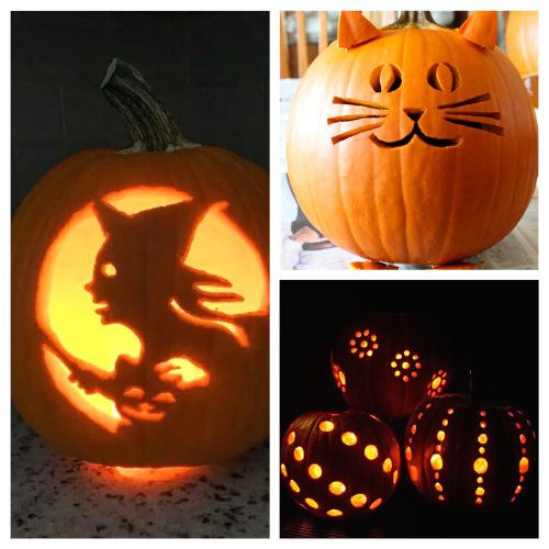 16 Fun Pumpkin Carving Ideas- Elevate your pumpkin carving game with these unique and creative pumpkin carving ideas! From spooky to whimsical, these pumpkin designs are sure to inspire your Halloween decorations. | #PumpkinCarving #HalloweenDecor #DIYCrafts #pumpkins #ACultivatedNest