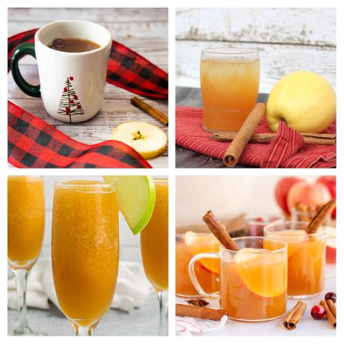 36 Delicious Homemade Apple Cider Recipes- Sip into the flavors of fall with our collection of delicious cider drink recipes! From warm spiced concoctions to refreshing cold sips, discover the perfect cider-inspired drinks to elevate your autumn gatherings. | #CiderRecipes #FallDrinks #drinkRecipes #appleCider #ACultivatedNest