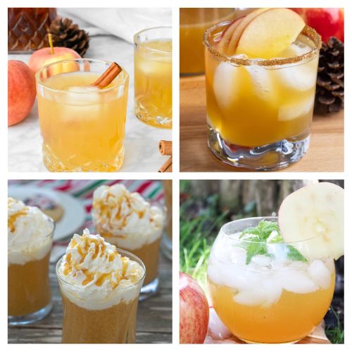 36 Delicious Homemade Apple Cider Recipes- Sip into the flavors of fall with our collection of delicious cider drink recipes! From warm spiced concoctions to refreshing cold sips, discover the perfect cider-inspired drinks to elevate your autumn gatherings. | #CiderRecipes #FallDrinks #drinkRecipes #appleCider #ACultivatedNest