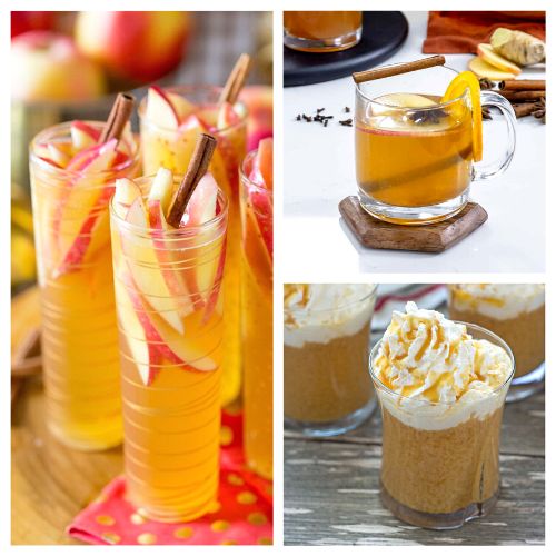 36 Delicious Cider Drink Recipes- Sip into the flavors of fall with our collection of delicious cider drink recipes! From warm spiced concoctions to refreshing cold sips, discover the perfect cider-inspired drinks to elevate your autumn gatherings. | #CiderRecipes #FallDrinks #drinkRecipes #appleCider #ACultivatedNest