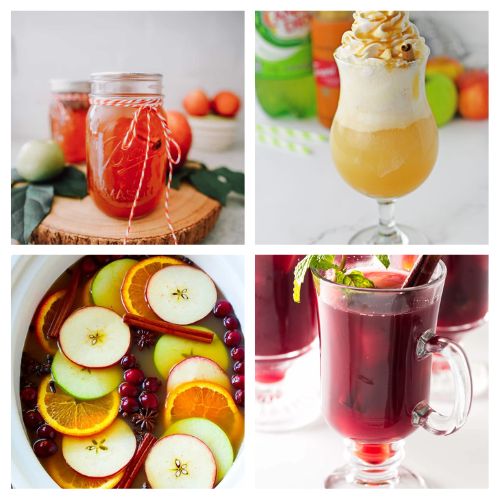 36 Delicious Apple Cider Fall Drink Recipes- Sip into the flavors of fall with our collection of delicious cider drink recipes! From warm spiced concoctions to refreshing cold sips, discover the perfect cider-inspired drinks to elevate your autumn gatherings. | #CiderRecipes #FallDrinks #drinkRecipes #appleCider #ACultivatedNest