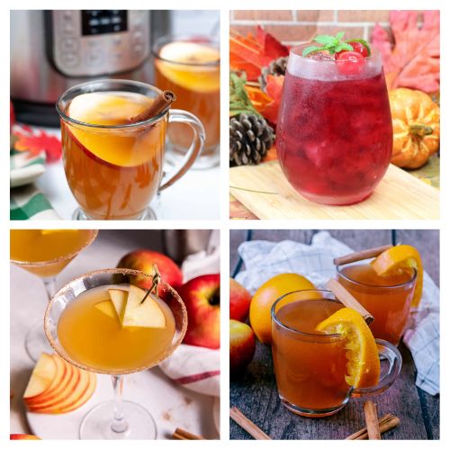 36 Delicious Apple Cider Fall Drink Recipes- Sip into the flavors of fall with our collection of delicious cider drink recipes! From warm spiced concoctions to refreshing cold sips, discover the perfect cider-inspired drinks to elevate your autumn gatherings. | #CiderRecipes #FallDrinks #drinkRecipes #appleCider #ACultivatedNest