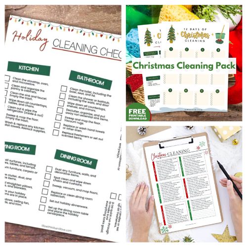 12-free-printable-vacation-cleansing-checklists-a-cultivated-nest