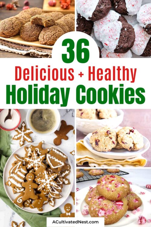 36 Delicious Healthy Holiday Cookie Recipes A Cultivated Nest