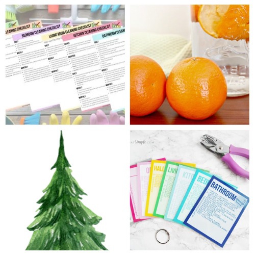 16 Helpful New Year Cleaning and Decluttering Tips- Ready to start the New Year with a fresh and clean slate? Dive into the new year with these helpful cleaning tips! From decluttering hacks to time-saving tricks, make your home sparkle and shine. Embrace a cleaner, more organized life this New Year! | #cleaningHacks #CleaningTips #Organization #decluttering #ACultivatedNest