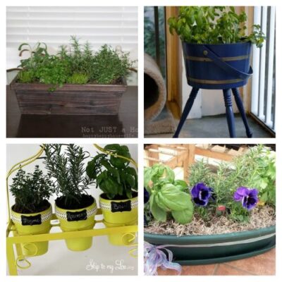 16 Clever Indoor Herb Garden DIY Ideas- A Cultivated Nest