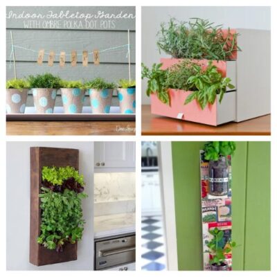 16 Clever Indoor Herb Garden DIY Ideas- A Cultivated Nest