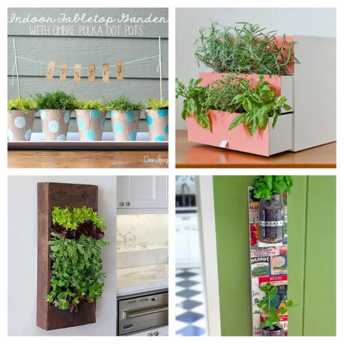 16 Clever Indoor DIY Herb Garden Ideas- Turn your kitchen into a green oasis with these brilliant indoor herb garden DIY ideas! From hanging planters to mason jar gardens, bring fresh flavors and fragrances to your cooking. | #indoorGarden #herbGarden #gardening #DIY #ACultivatedNest