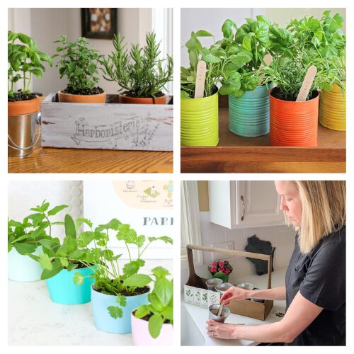 16 Clever Indoor Herb Garden DIY Ideas- Turn your kitchen into a green oasis with these brilliant indoor herb garden DIY ideas! From hanging planters to mason jar gardens, bring fresh flavors and fragrances to your cooking. | #indoorGarden #herbGarden #gardening #DIY #ACultivatedNest