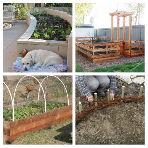 16 Easy Raised Garden Bed DIY Ideas- Elevate your gardening game with these easy DIY raised garden bed ideas! Whether you're a seasoned gardener or just starting out, discover simple and stylish ways to grow your own produce and beautiful flowers. | #DIYGardenBeds #RaisedBedGardening #GardeningTips #gardening #ACultivatedNest