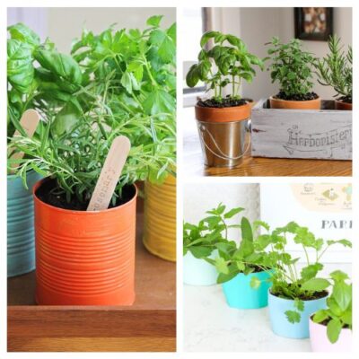 16 Clever Indoor Herb Garden DIY Ideas