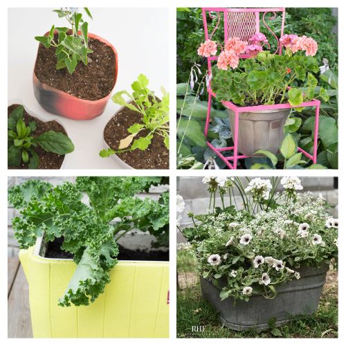 20 Beautiful Repurposed DIY Planter Ideas- Turn trash into treasure with these stunning upcycled planter ideas! From old tin cans to chairs, discover creative ways to breathe new life into your outdoor spaces. | #Upcycled #PlanterIdeas #GardenDecor #diyProject #ACultivatedNest