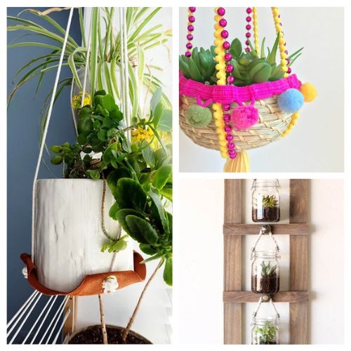16 Pretty DIY Plant Hangers- Discover stunning DIY plant hanger projects that blend style and functionality, perfect for indoor and outdoor spaces. From simple macramé designs to innovative upcycled treasures, elevate your home's greenery in a snap! | #DIYPlantHangers #HomeDecor #diyProjects #indoorGardening #ACultivatedNest
