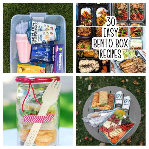 16 Summer Picnic Basket Organizing Hacks- Get ready for summer adventures with these brilliant ways to organize your picnic basket! From creative bento box hacks to Mason jar storage and charcuterie boards, make every picnic perfect. Check out these easy and fun ideas to elevate your summer picnics today! | #SummerPicnic #picnicIdeas #picnicBasket #organizingTips #ACultivatedNest