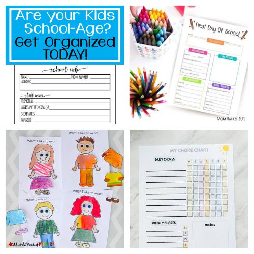 24 Helpful Back-to-School Free Printables- Discover free back-to-school printables that will help you and your kids start the school year on the right foot. From planners to activity sheets, these printables have everything you need. Check them out now and get ready for a successful school year! | #BackToSchool #FreePrintables #SchoolOrganization #printables #ACultivatedNest