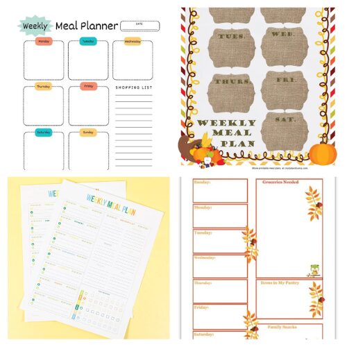 16 Frugal Fall Meal Planning Ideas- Simplify your meal planning this fall with our collection of frugal fall meal planning ideas! 🍁 From printable meal planners to delicious recipes, we've got everything you need to save time and money while enjoying cozy, autumn dinners. | #MealPlanning #FallRecipes #MealPrep #freePrintables #ACultivatedNest