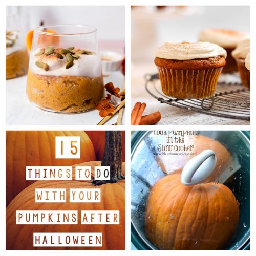 24 Leftover Halloween Pumpkin Recipes- Looking for creative ways to use your leftover Halloween pumpkins? Check out this ultimate guide with many amazing ideas! From delicious recipes to fun DIY projects, we’ve got you covered. Don’t let those pumpkins go to waste! | #PumpkinRecipes #DIY #fallRecipes #LeftoverPumpkin #ACultivatedNest